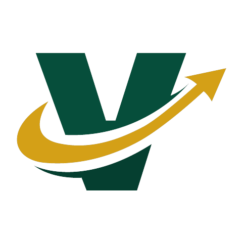 Vios Infosystems